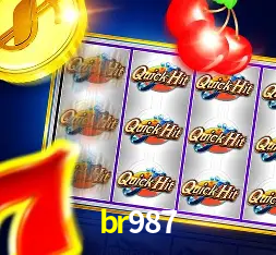 Interface Premium br987